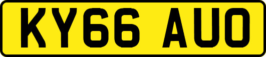 KY66AUO