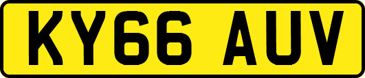 KY66AUV