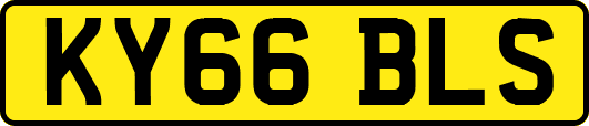 KY66BLS