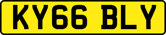 KY66BLY