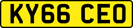 KY66CEO