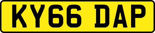 KY66DAP
