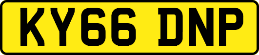 KY66DNP