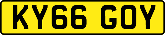 KY66GOY