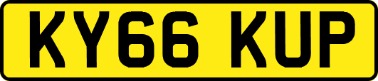 KY66KUP