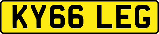 KY66LEG