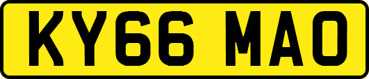 KY66MAO