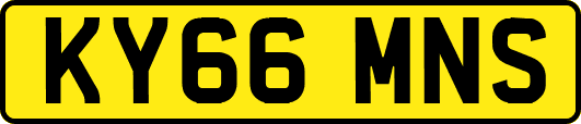 KY66MNS
