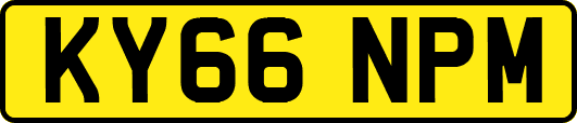 KY66NPM