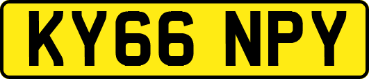 KY66NPY