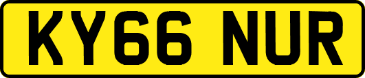 KY66NUR