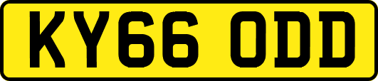 KY66ODD