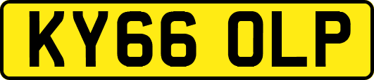 KY66OLP