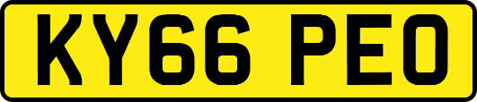 KY66PEO