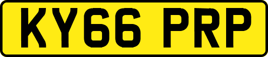 KY66PRP