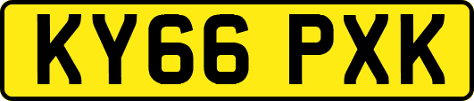 KY66PXK