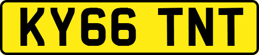 KY66TNT