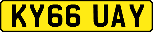 KY66UAY