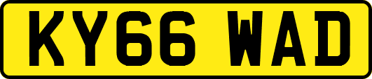 KY66WAD