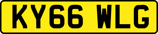 KY66WLG