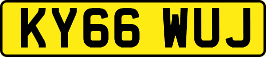 KY66WUJ