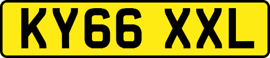 KY66XXL