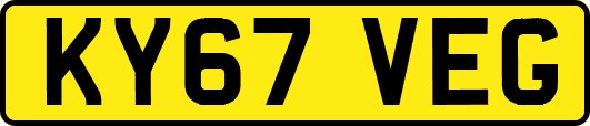 KY67VEG