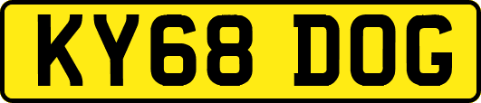 KY68DOG