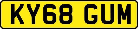 KY68GUM