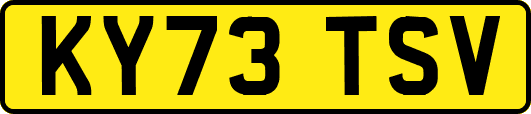 KY73TSV