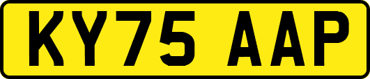 KY75AAP