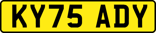KY75ADY