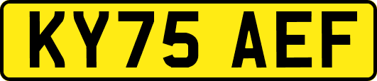 KY75AEF