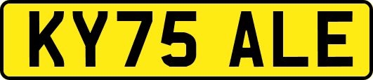 KY75ALE
