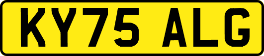 KY75ALG