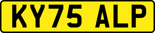 KY75ALP