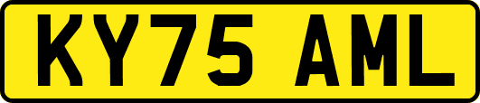KY75AML