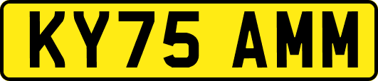 KY75AMM