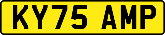 KY75AMP
