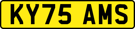 KY75AMS