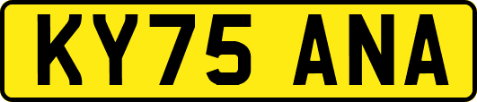 KY75ANA