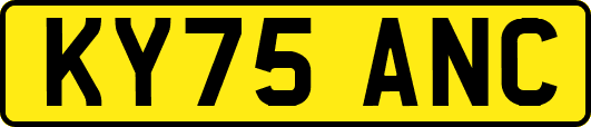 KY75ANC