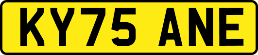 KY75ANE