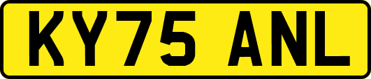 KY75ANL
