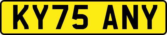 KY75ANY