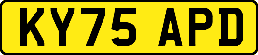 KY75APD