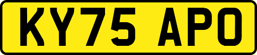 KY75APO