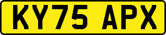 KY75APX