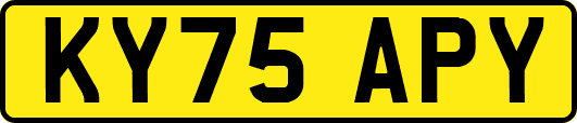 KY75APY