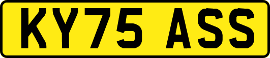 KY75ASS